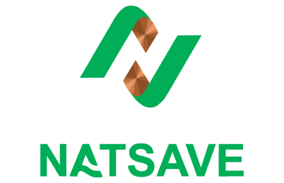 NATSAVE Logo